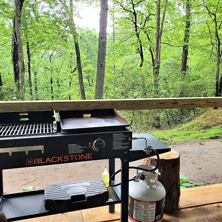 Mountain Laurel Cottage At Hearthstone Cabins And Camping - Pet Friendly هيلين المظهر الخارجي الصورة