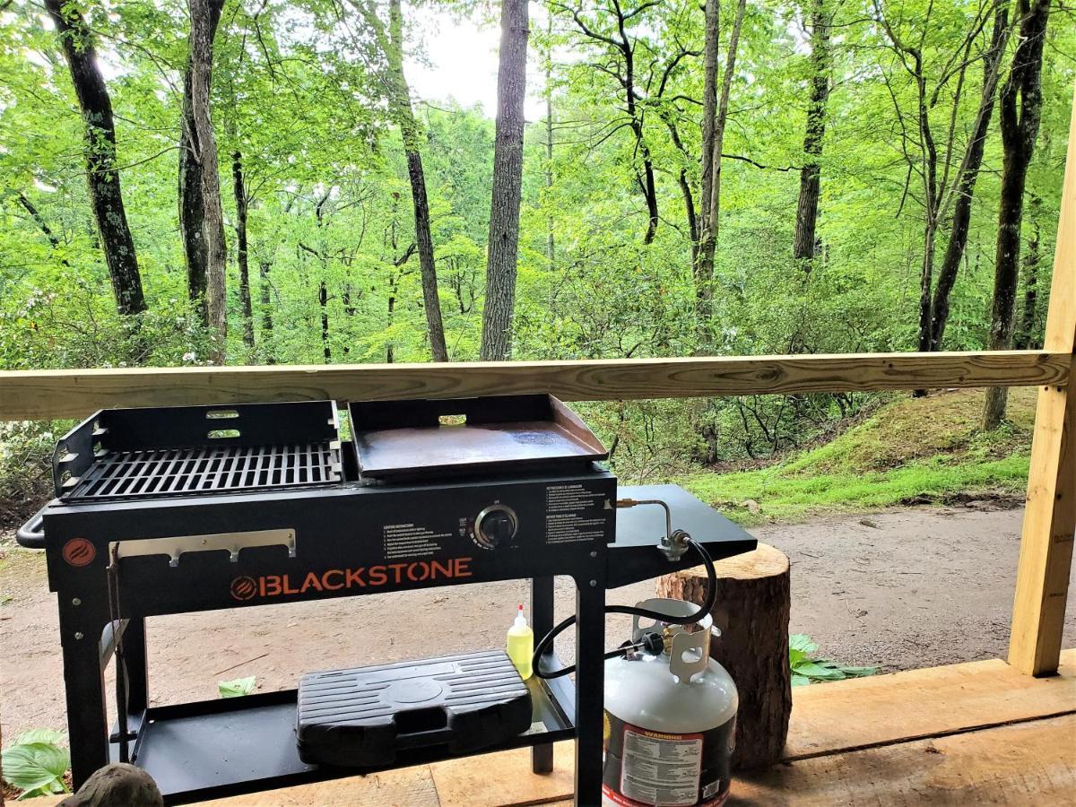 Mountain Laurel Cottage At Hearthstone Cabins And Camping - Pet Friendly هيلين المظهر الخارجي الصورة