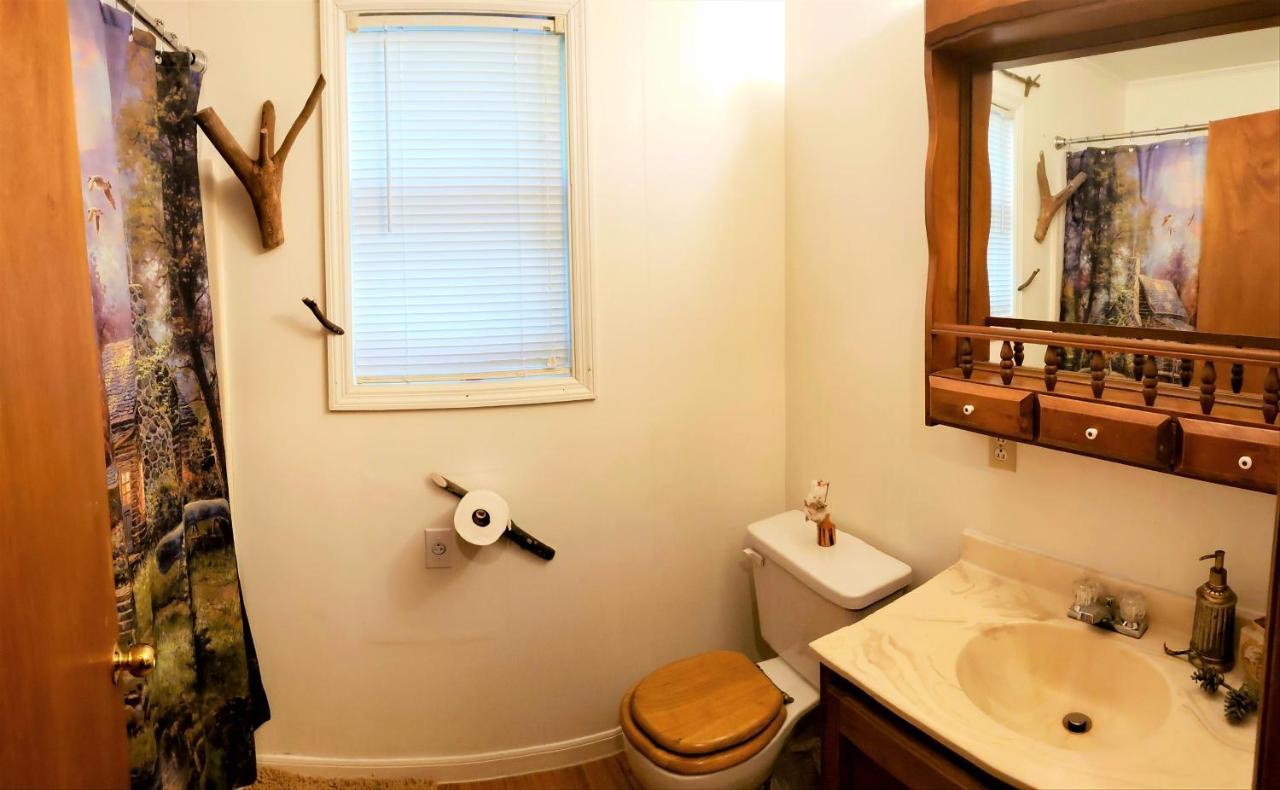 Mountain Laurel Cottage At Hearthstone Cabins And Camping - Pet Friendly هيلين المظهر الخارجي الصورة
