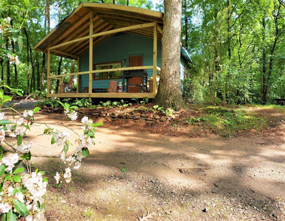 Mountain Laurel Cottage At Hearthstone Cabins And Camping - Pet Friendly هيلين المظهر الخارجي الصورة